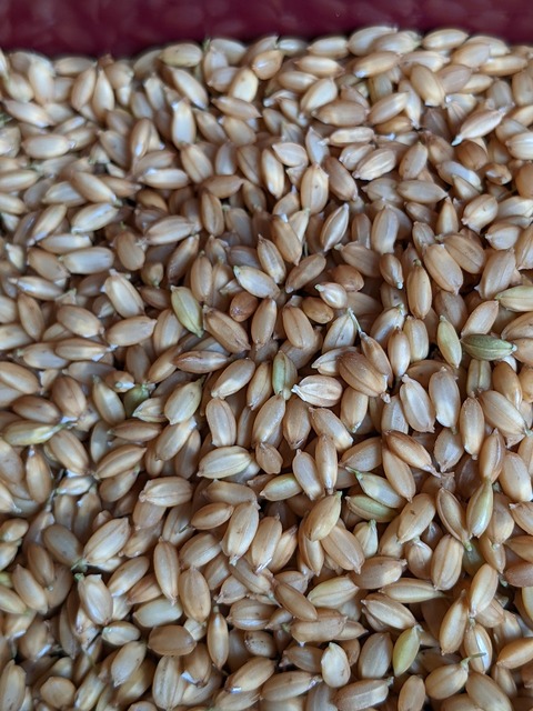 PXL_20210520_010122270