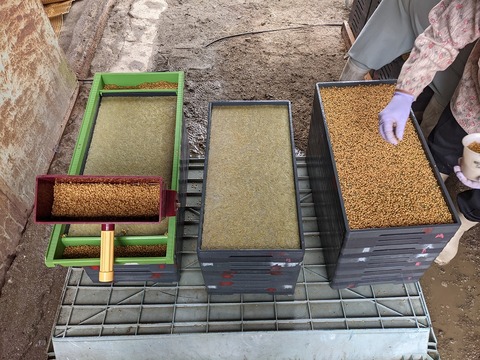 PXL_20210520_010012053.MP