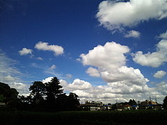 100630空