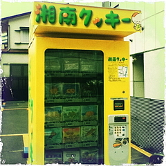 110308湘南クッキー販売機