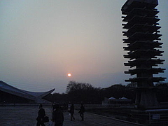 080312駒沢オリンピック公園