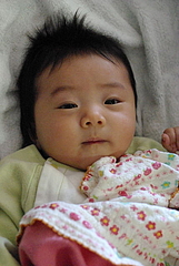 090429haruka