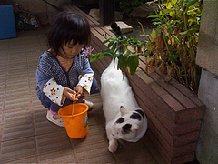 101025はるかちゃん&ミーちゃん