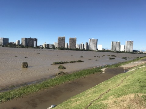 大雨後の多摩川河川敷