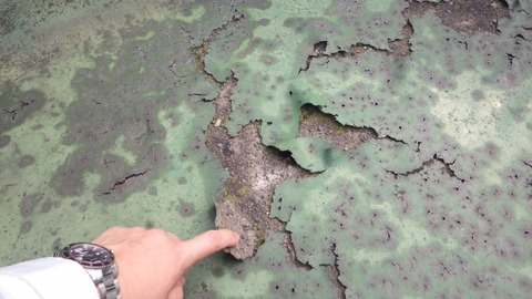 屋上防水劣化