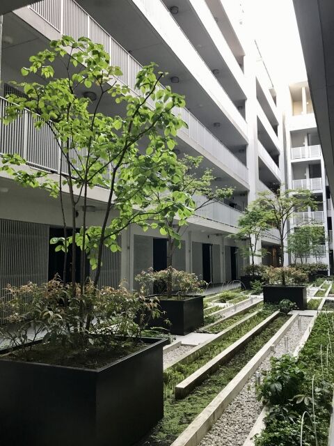 マンション中庭植栽