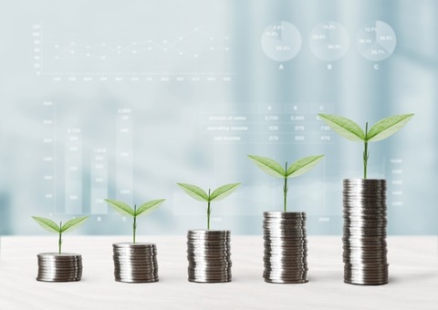 葉っぱマネー資産