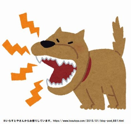 �ޥ󥷥�� �ڥåȻ��� �ȥ�֥� ���