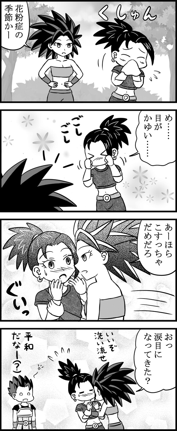 花粉症 Over The Dimension 花粉症 Over The Dimension