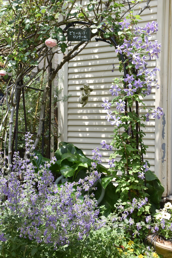 クレマチス咲く庭 すみ子の小鳥が憩う手作りガーデン