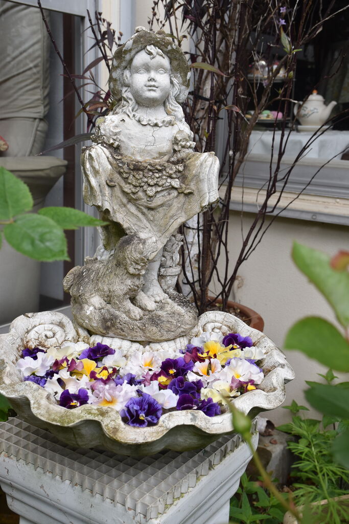 パンジーで久しぶりの浮き花遊び すみ子の小鳥が憩う手作りガーデン