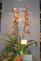 �������֥ե�������2