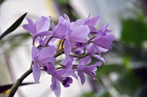 2012-11-08 009-b_500