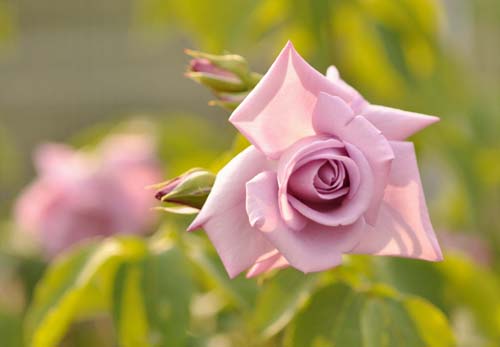 2012-05-16 095-b_500