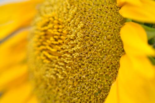 2009-07-18 035-g_500