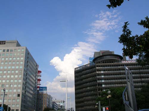 2013-08-21 004-l_500