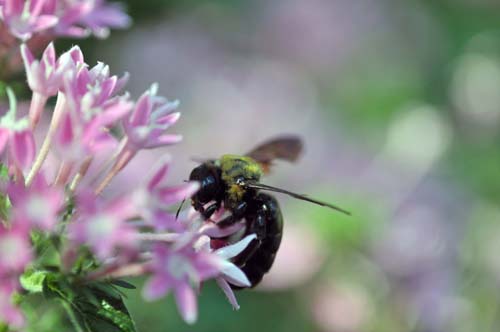 2012-09-12 031-q_500