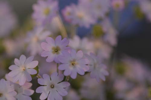 2013-04-11 094-r_500