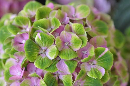 2013-05-21 038-g_500