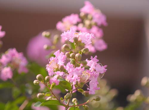 2013-08-09194 (10)-b-5