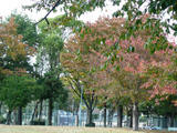 1ca28d7e.jpg