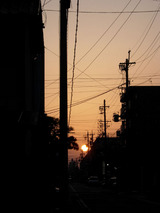 久し振りに見た夕日
