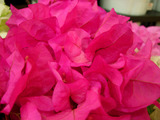 2ae1f034.jpg