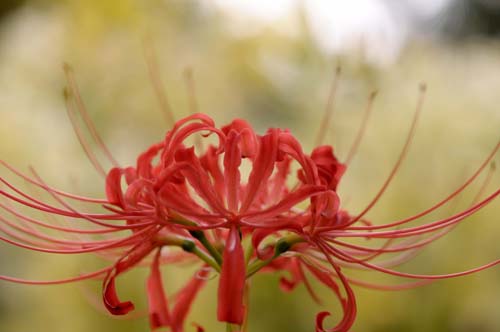 2013-09-25 075-b-500