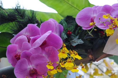 2013-01-02 031-b_500