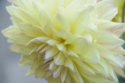 2013-09-17 013-z_500