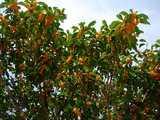 4f78d9b5.jpg