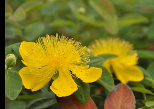 2013-05-28 117-n_500