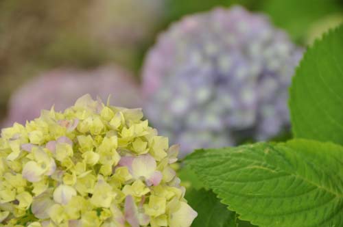 2011-06-03 024-n_500