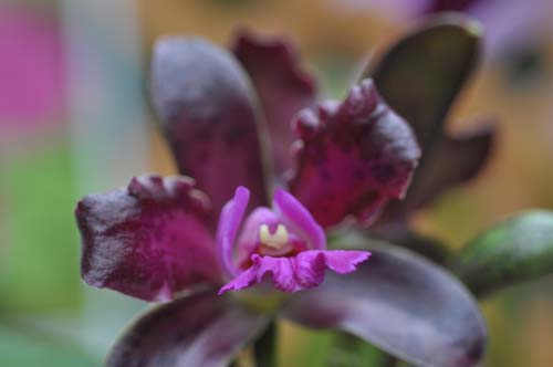 2013-06-20 035-e_500