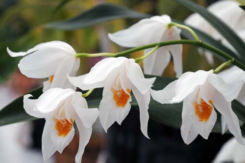 2013-01-15 073-q_500