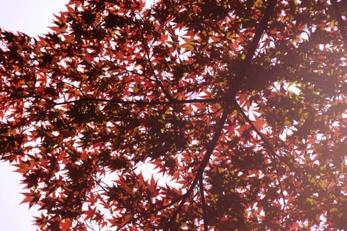 2013-11-05 018-b-5