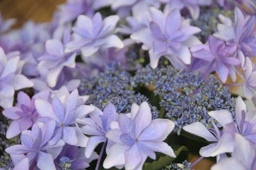 2013-06-14 130-n_500