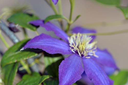 2013-08-20 030-h_500