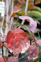 �Τ�ʤ����ؿ�