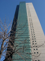 85435729.jpg