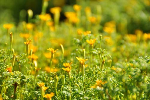 2012-08-23 104-z_500