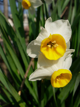 ƻü�ǡ�����