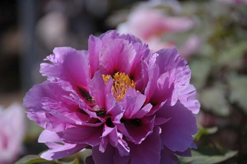 2013-04-28 103-p_500