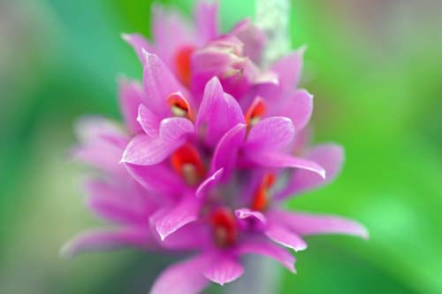 2013-08-05 021-y_500