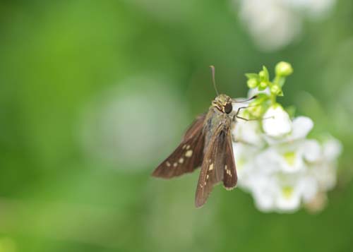 2012-09-20 009-t_500