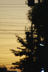 natu