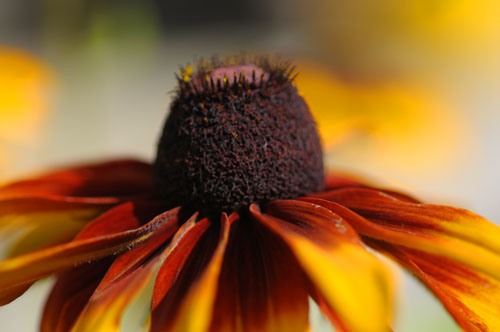 2013-07-30 005-j_500