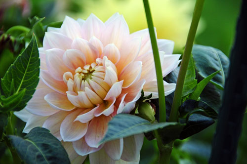 2013-09-17 036-j_500