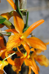 �������֥ե���������ä���