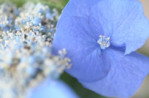 2012-06-14 109-c_500